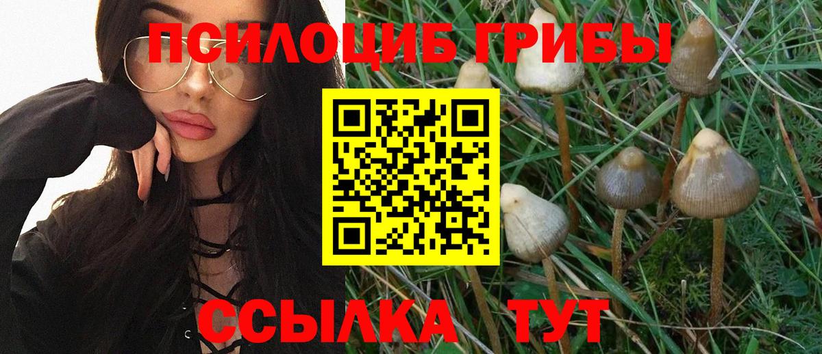 Галлюциногенные грибы мицелий  Галлюциногенные грибы Magic Shrooms  Вход с VPN  Луховицы 
